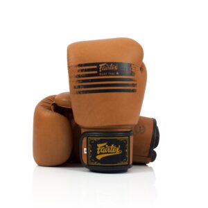 Guantes de boxeo Fairtex BGV21 “Legacy”