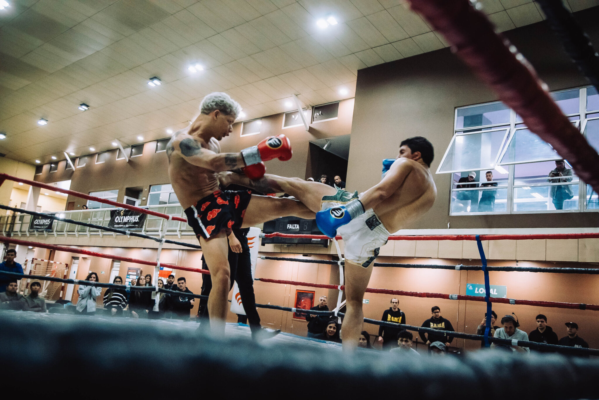 Copia de 20250913-DSC06893