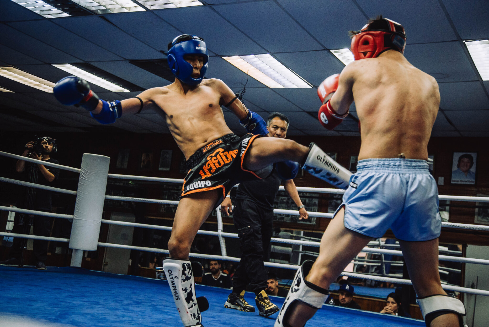 Copia de 20251101-DSC01626