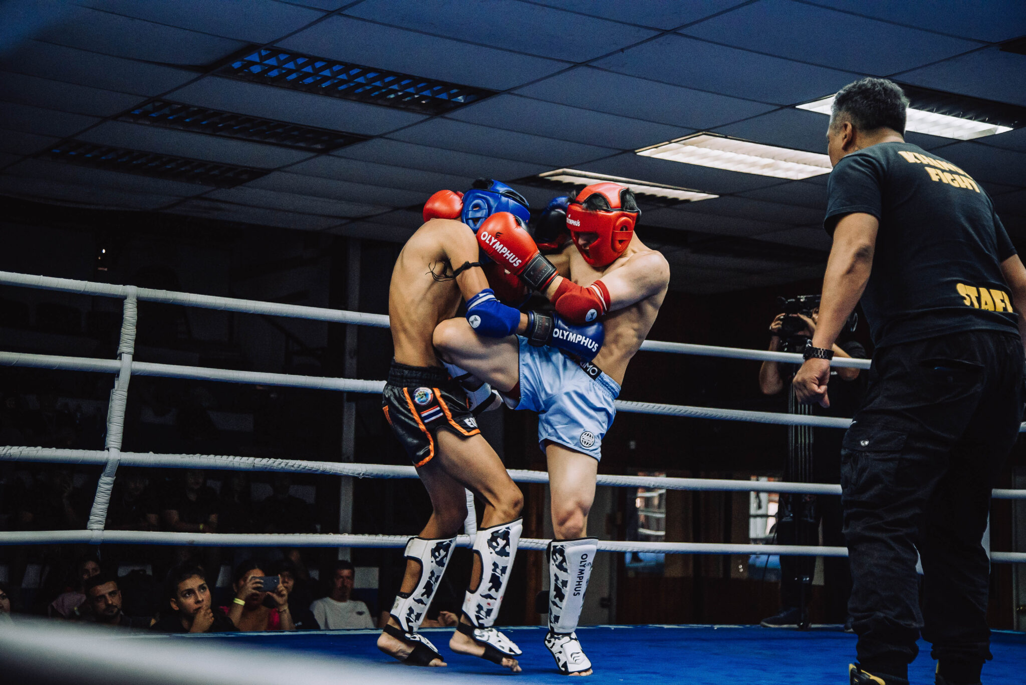 Copia de 20251101-DSC01648