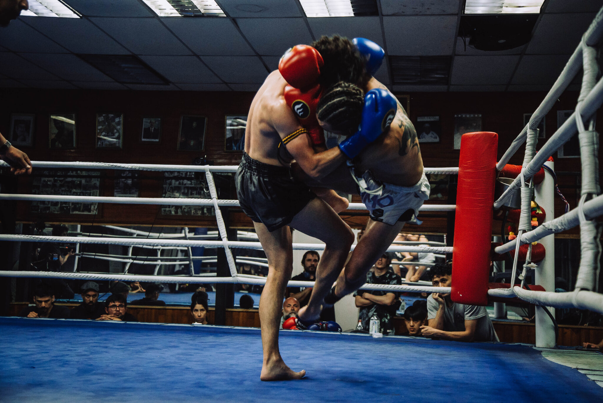 Copia de 20251101-DSC05393